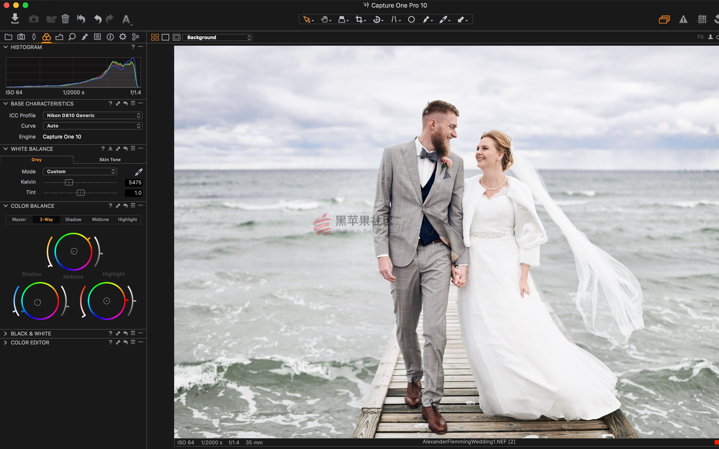 Capture One Pro v10.1.2.26 强大的照片后期软件