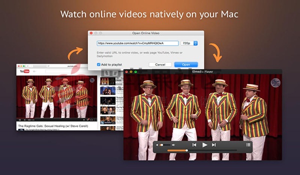 Elmedia Player Pro for Mac 6.7 专业好用的Flash播放器
