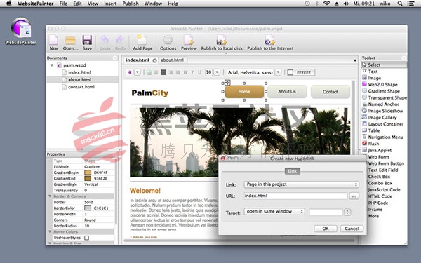WebsitePainter for Mac v3.3.2 可视化网页开发工具 中文版