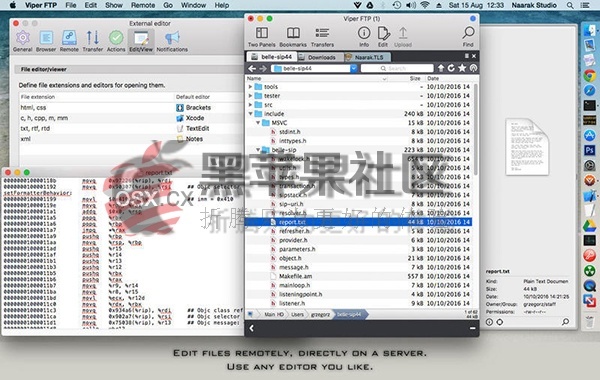 Viper FTP For Mac v4.0 功能强大的FTP客户端软件-图片2