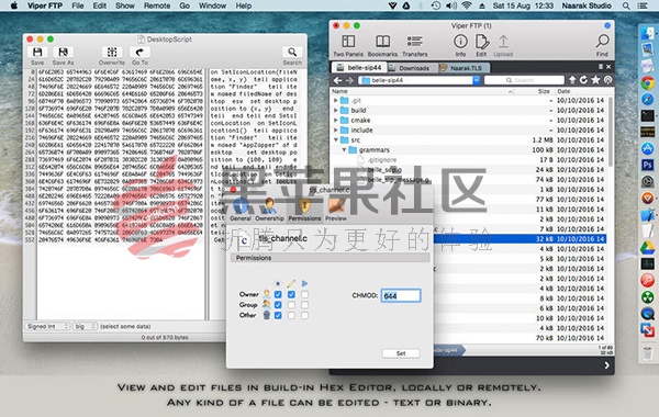 Viper FTP For Mac v4.0 功能强大的FTP客户端软件-图片2