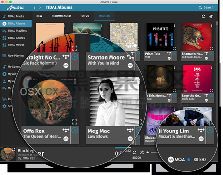 Amarra Luxe For Mac Amarra Luxe For Mac v4.2 专业的音乐增强播放器