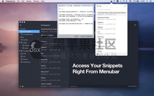 SnippetsLab For Mac SnippetsLab For Mac v1.7.4 代码编辑管理工具