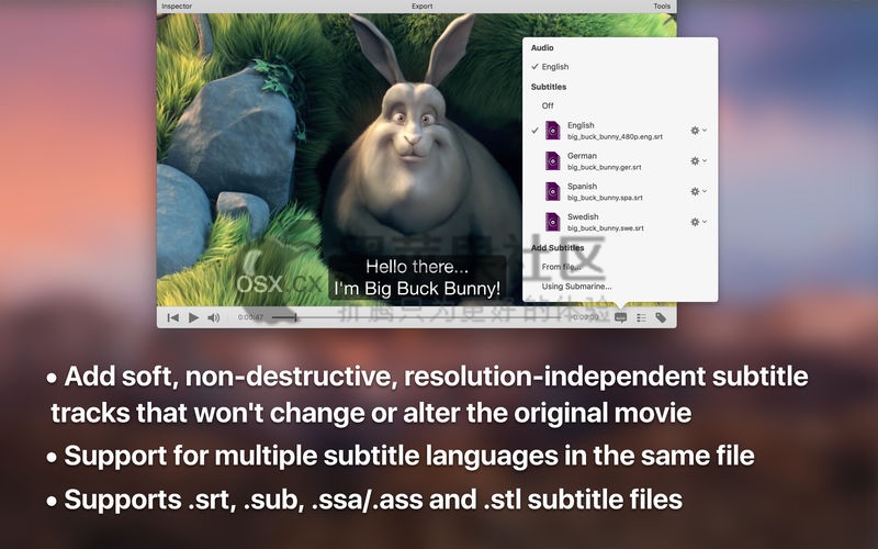 iSubtitle For Mac v3.1 专业的视频字幕制作软件