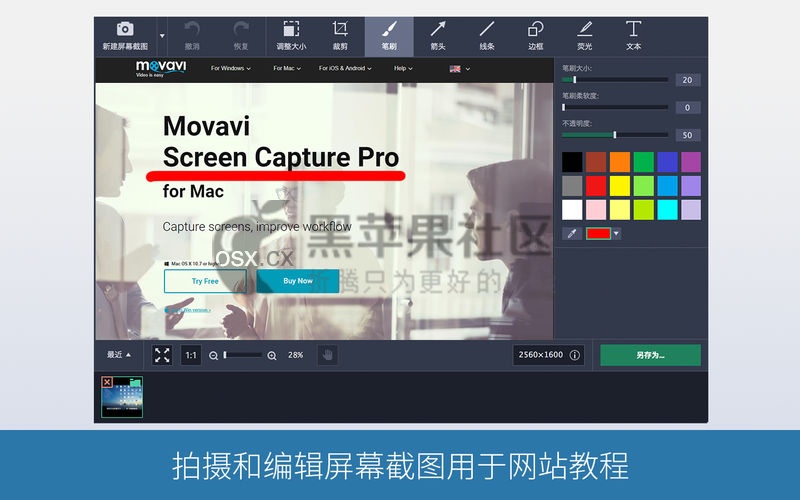 Movavi Screen Capture Pro