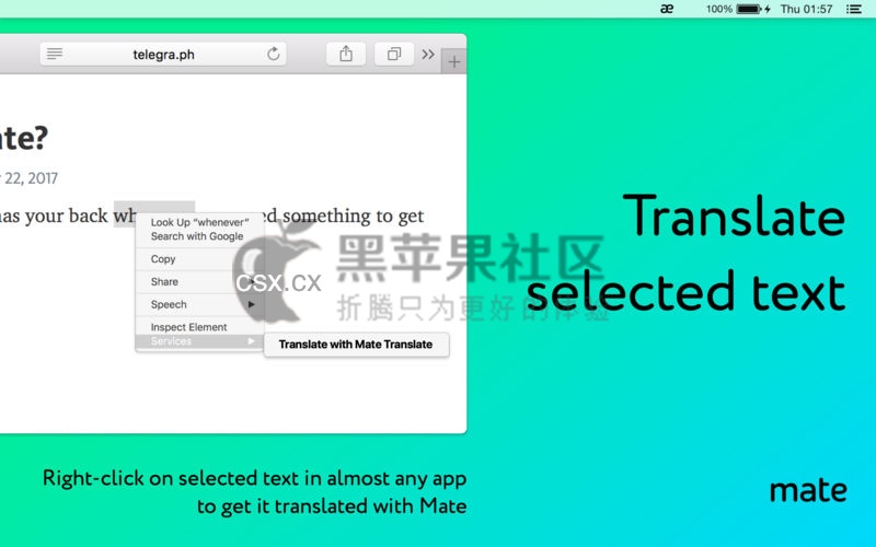 Mate Translate For Mac v6.1.4 实用的翻译软件-图片1