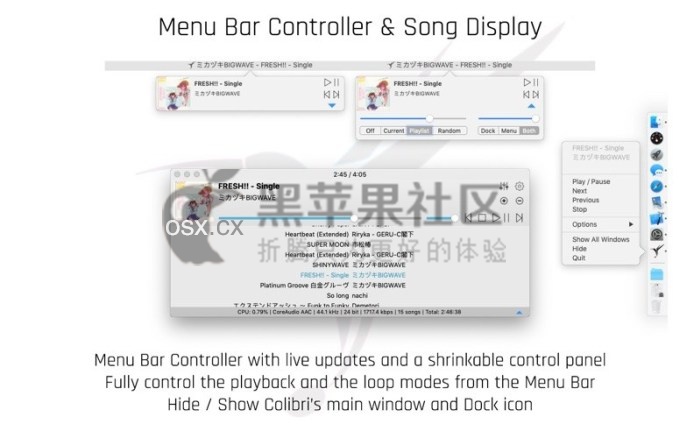 Colibri For Mac v1.9.11 专业的无损音乐播放器-图片1