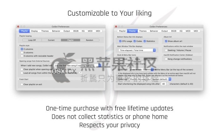 Colibri For Mac v1.9.11 专业的无损音乐播放器-图片1
