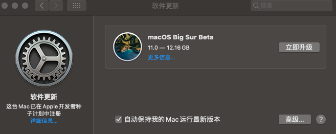 macOS Big Sur 11.0 beta6 自带Clover r5120和OC引导 v0.6.0黑苹果原版镜像