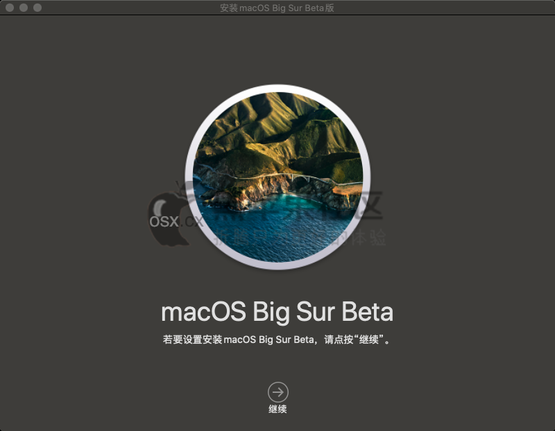 macOS Big Sur 11.0 beta6 自带Clover r5120和OC引导 v0.6.0黑苹果原版镜像