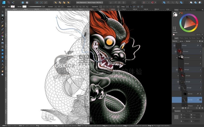 Affinity Designer For Mac v1.9.0 专业的图形设计软件-图片1