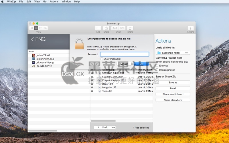 WinZip Mac Pro v9.0.5554 好用的缩解压工具-图片1