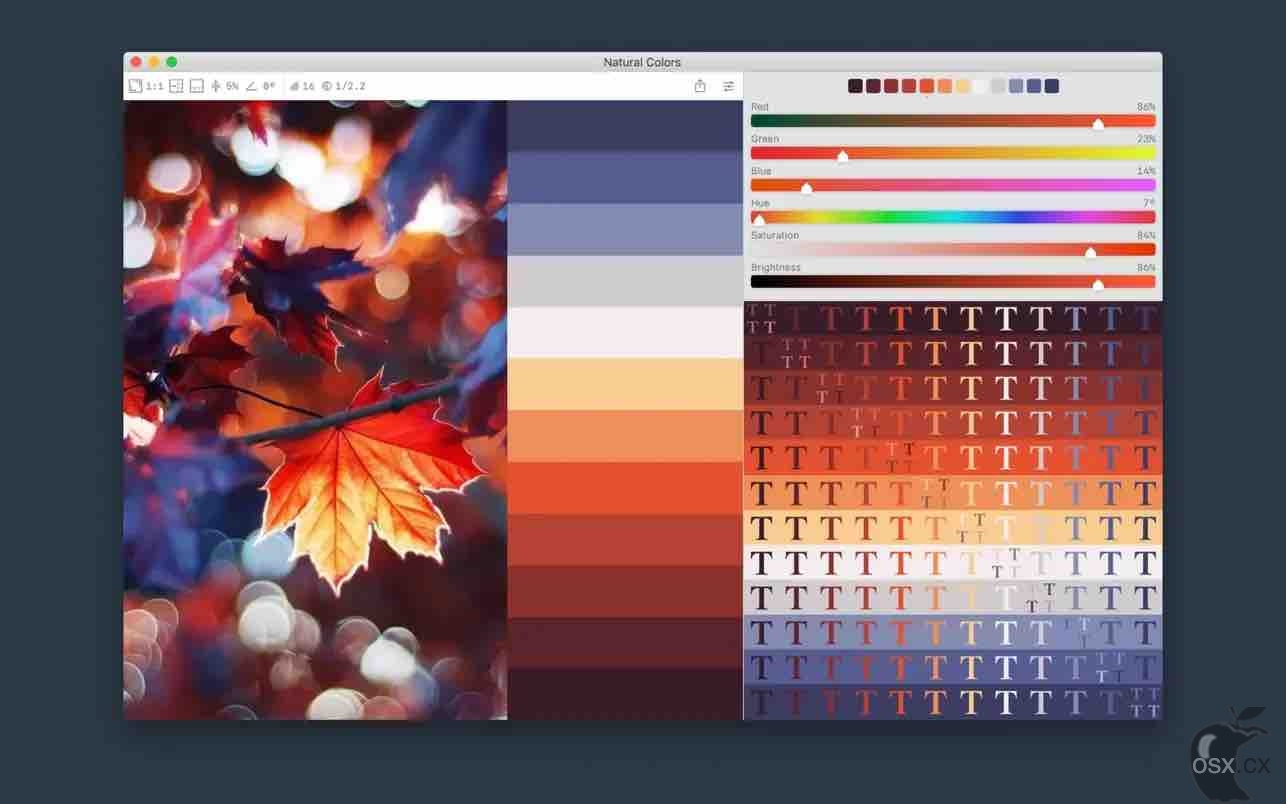 Color Palette from Image Pro v2.2.1 照片配色提取软件-图片1