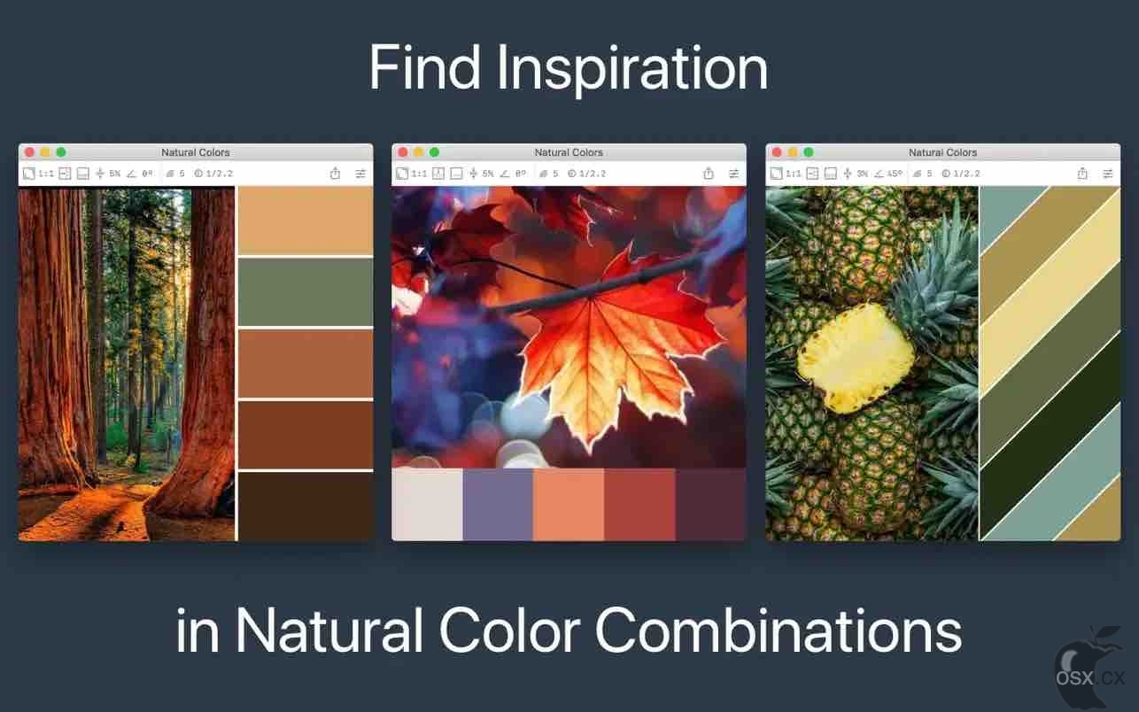 Color Palette from Image Pro v2.2.1 照片配色提取软件-图片1