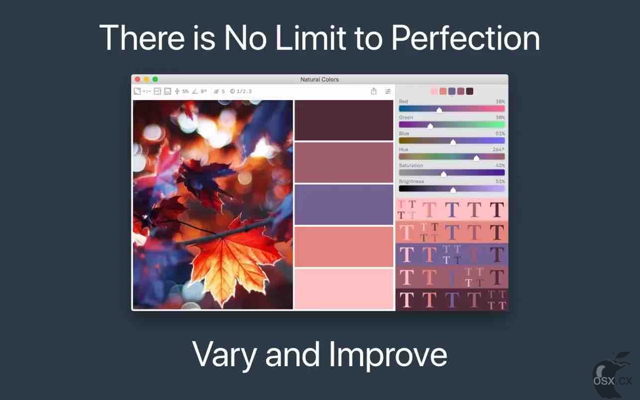 Color Palette from Image Pro v2.2.1 照片配色提取软件-图片1