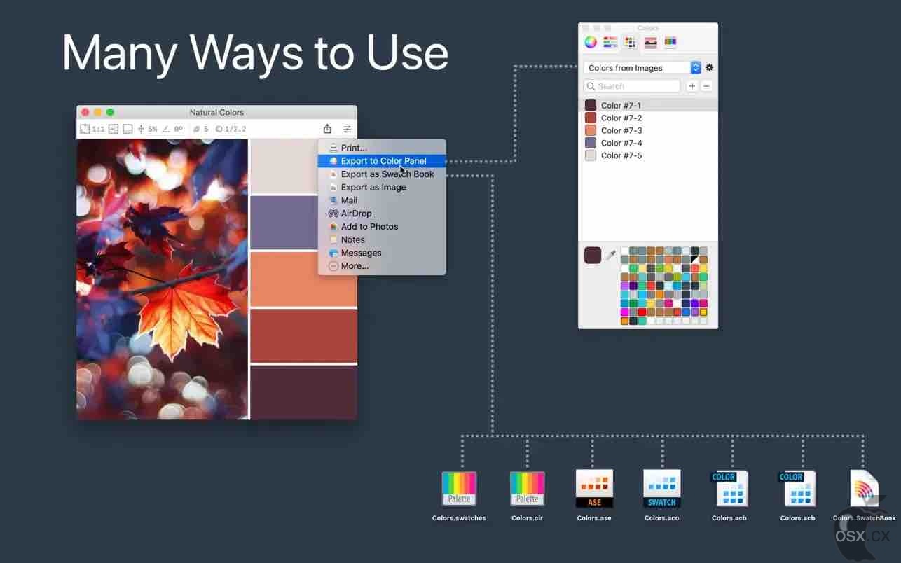 Color Palette from Image Pro v2.2.1 照片配色提取软件-图片1