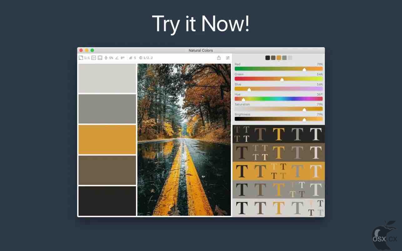 Color Palette from Image Pro v2.2.1 照片配色提取软件-图片1