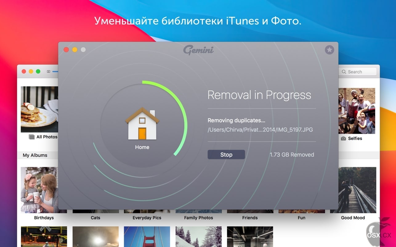 Gemini 2 For Mac v2.9.8 硬盘清理文件整理工具-图片1