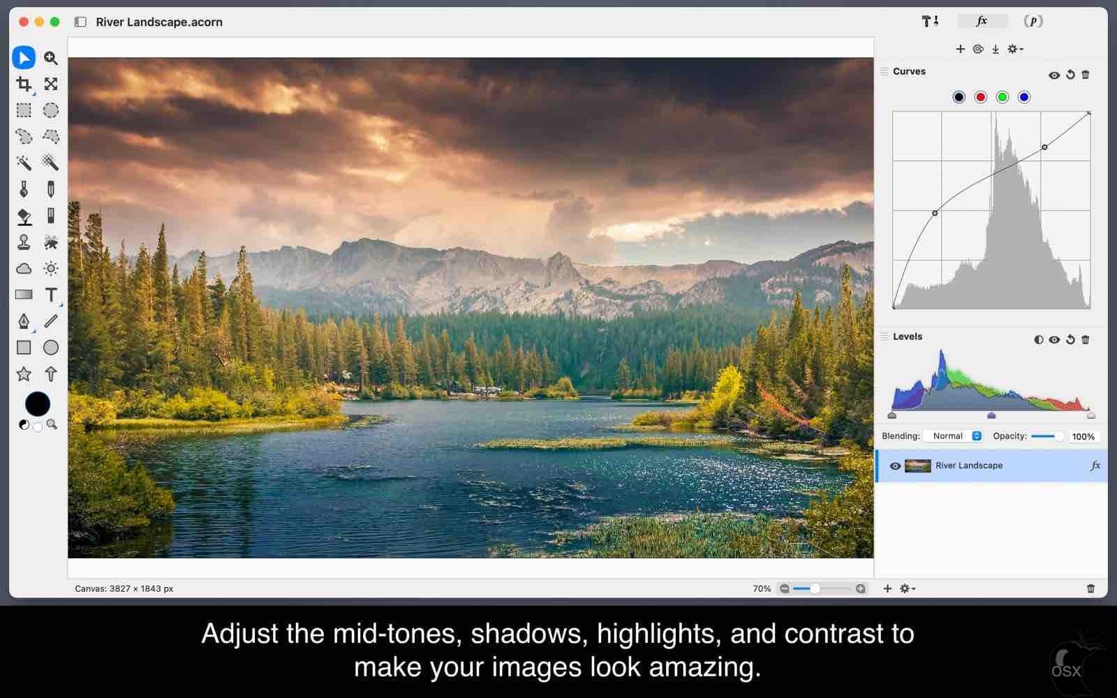 Acorn For Mac