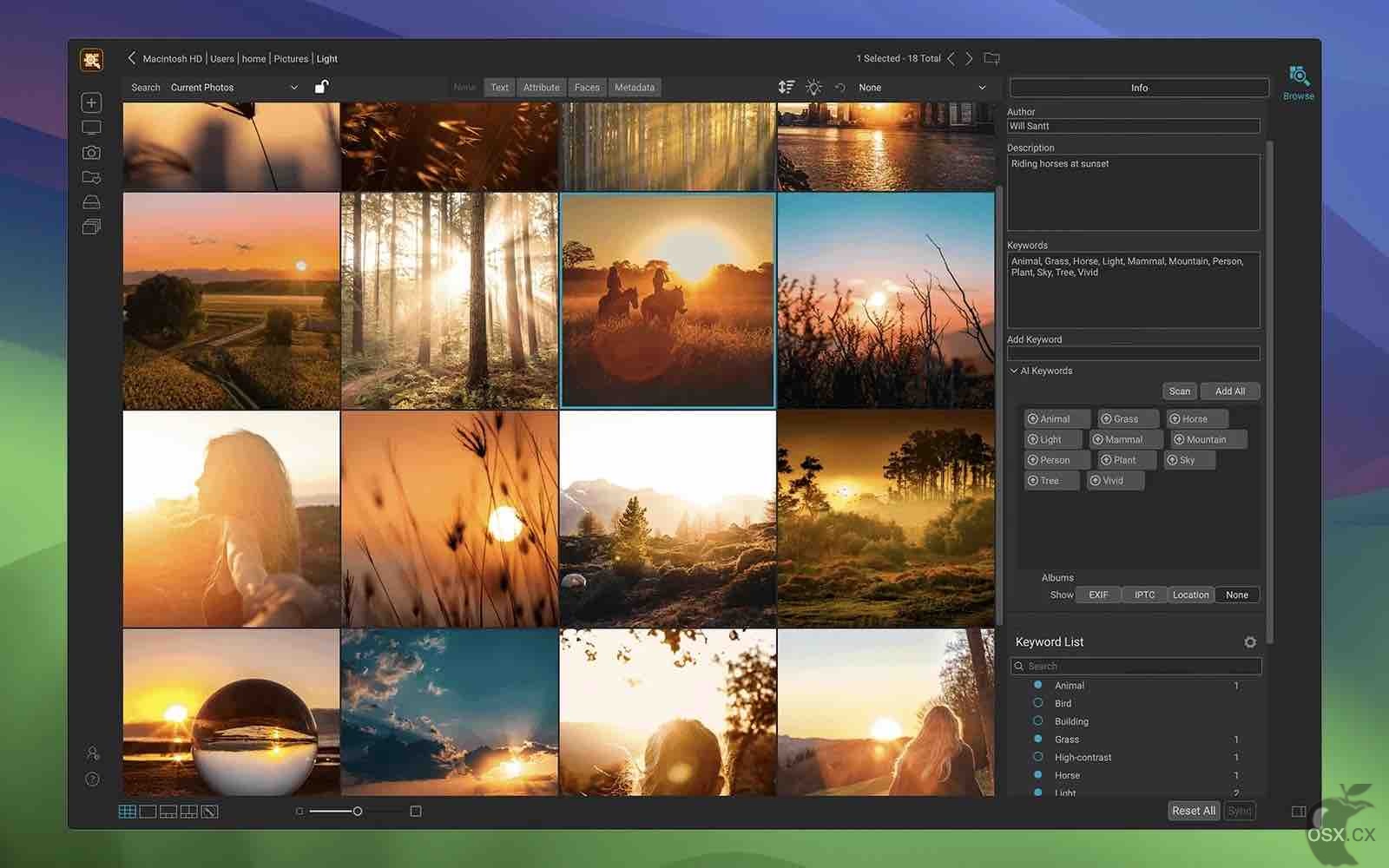 ON1 Photo Keyword AI 2023.5 v17.5.1.14058 AI一体化照片编辑器-图片1