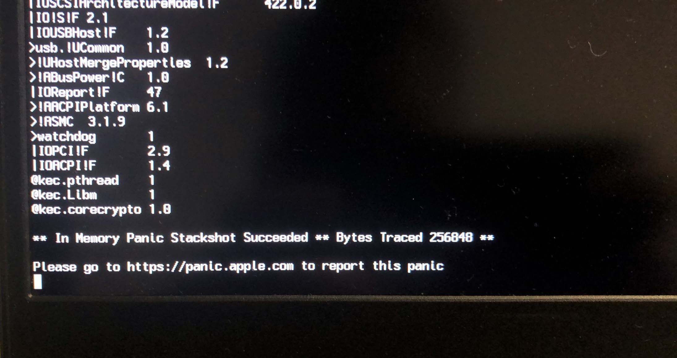 In Memory Panic Stackshot Succeeded
