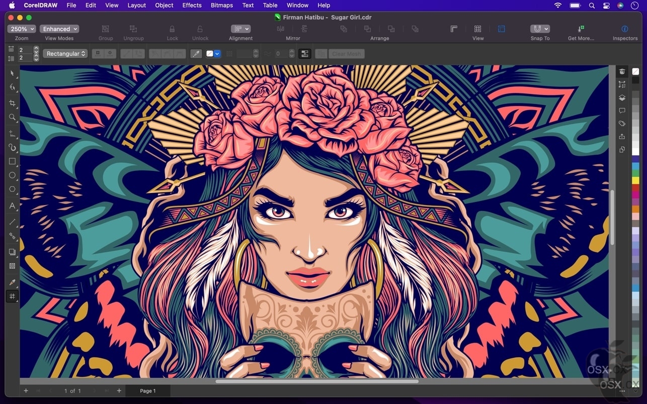 CorelDRAW 2025 For Mac v26.1.0.143 专业的平面设计矢量绘图软件-图片1