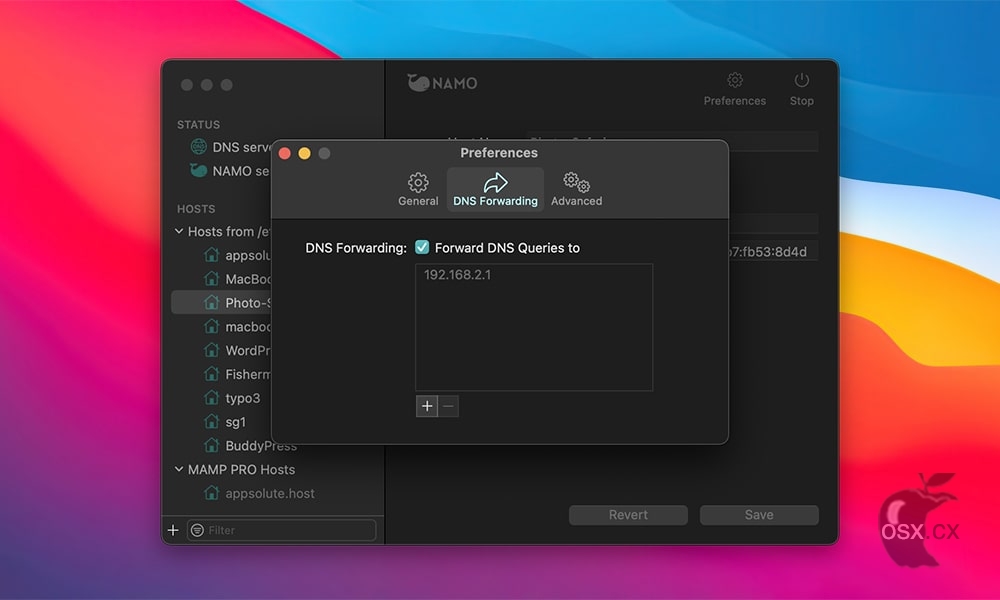 NAMO For Mac v2.0.1 专业的本地DNS服务器软件-图片1