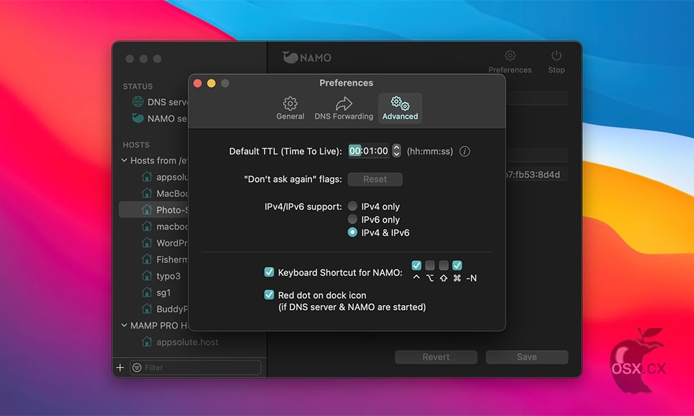 NAMO For Mac v2.0.1 专业的本地DNS服务器软件-图片1