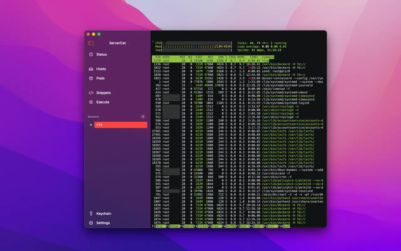 ServerCat – SSH Terminal For Mac v1.7.2 专业的SSH远程终端工具