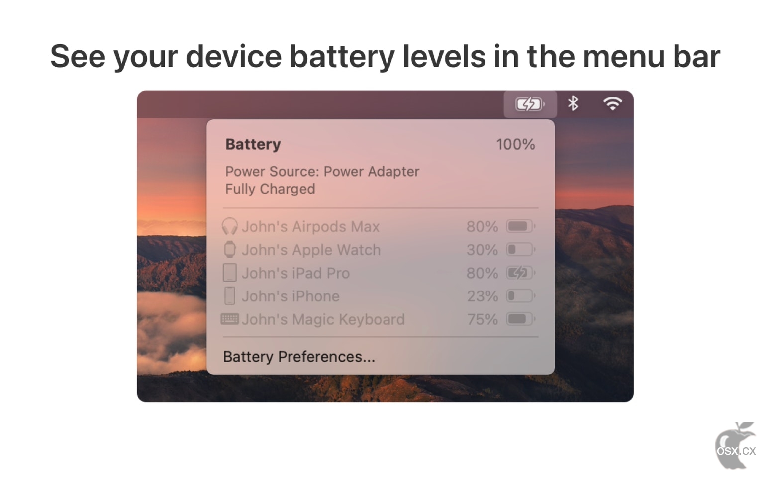 Batteries For Mac v2.3.1 多设备电池余量管理软件
