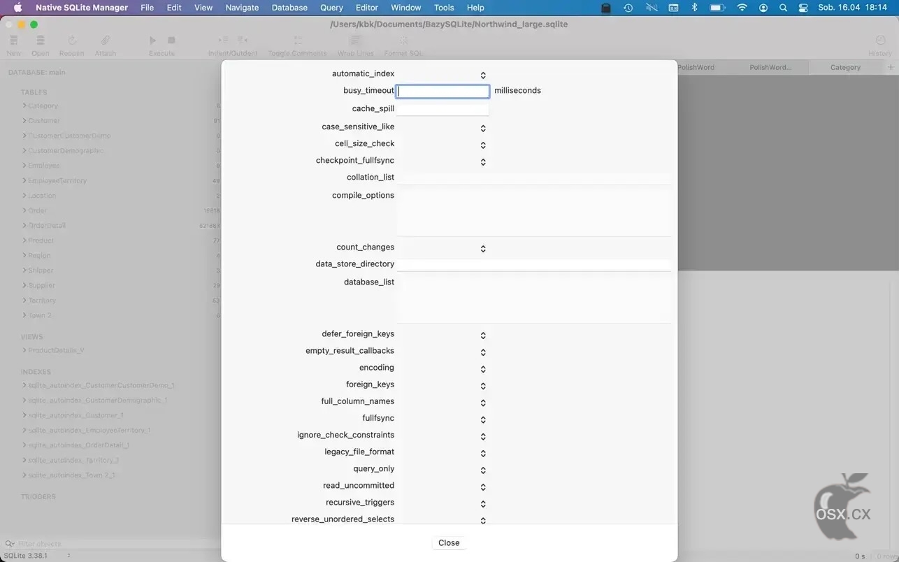 Native SQLite Manager For Mac