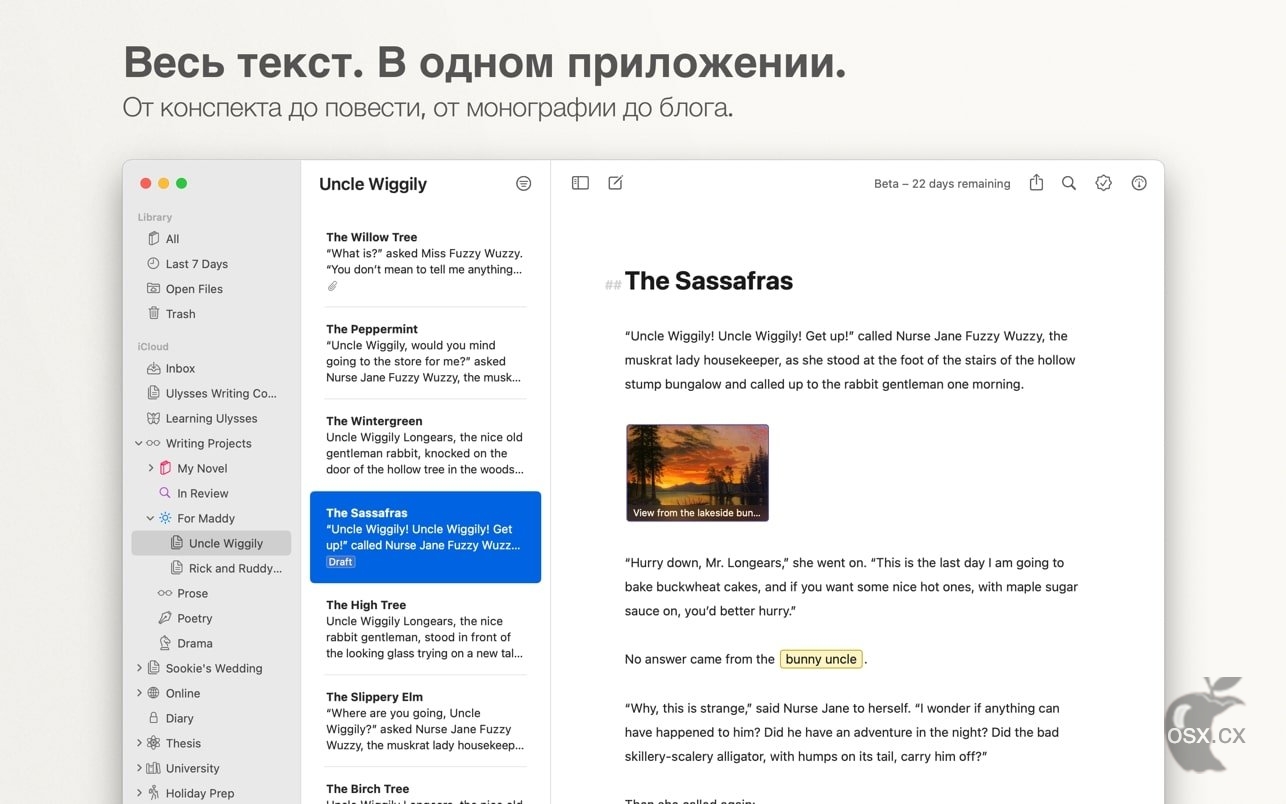 Ulysses For Mac v39.3 专业的写作的软件