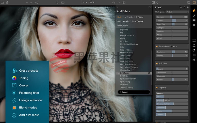 Luminar For Mac v1.1.4 专业的照片后期编辑软件