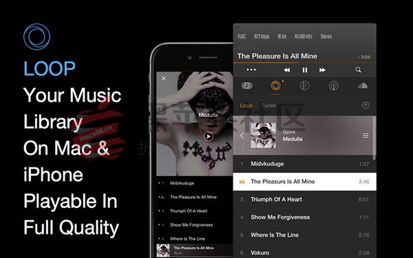 VOX For Mac v2.8.20 全能音乐播放器